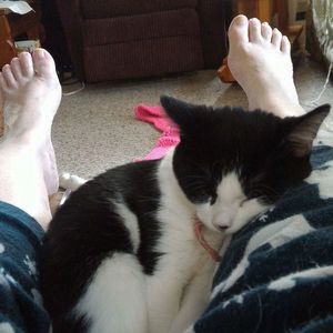 Meet your Posher, Kelley